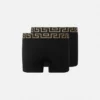 Dlouhé boxerky Greca Border, 2 ks
